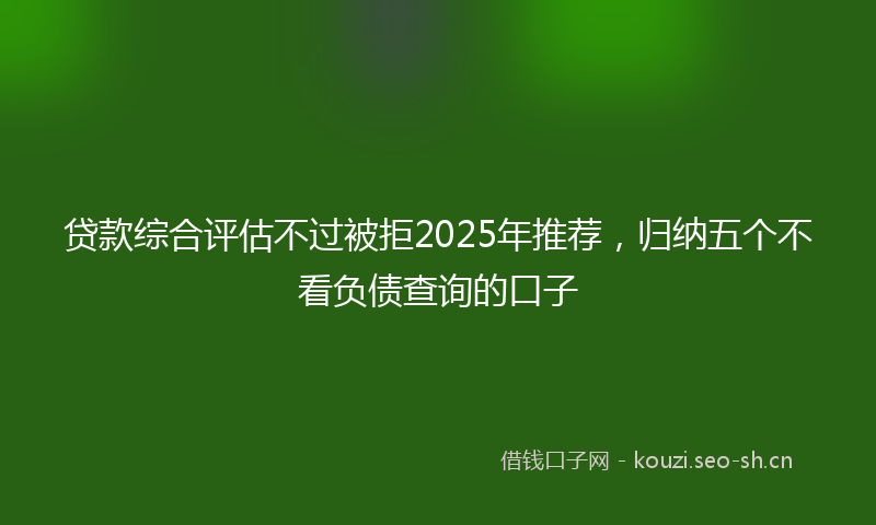 贷款综合评估不过被拒2025年推荐，归纳五个不看负债查询的口子