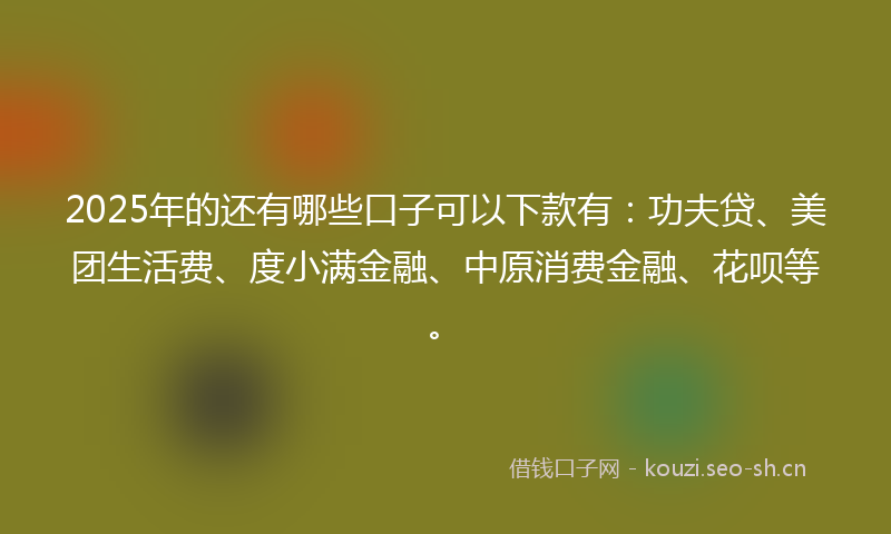 2025年的还有哪些口子可以下款有：功夫贷、美团生活费、度小满金融、中原消费金融、花呗等。