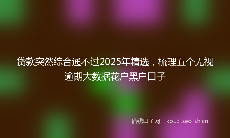 贷款突然综合通不过2025年精选，梳理五个无视逾期大数据花户黑户口子
