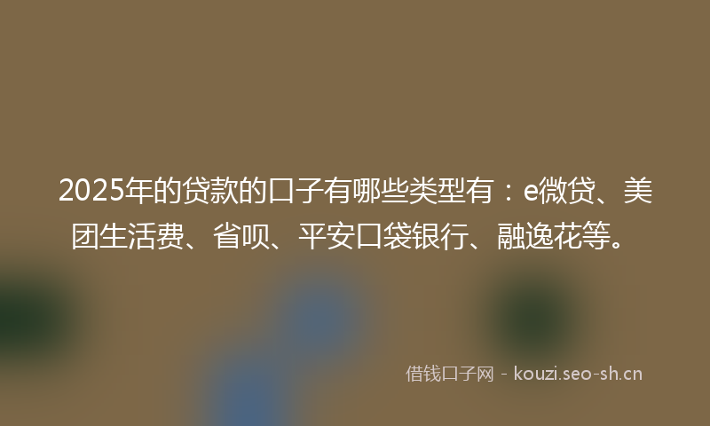 2025年的贷款的口子有哪些类型有：e微贷、美团生活费、省呗、平安口袋银行、融逸花等。