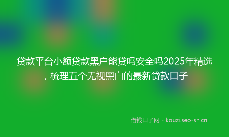 贷款平台小额贷款黑户能贷吗安全吗2025年精选，梳理五个无视黑白的最新贷款口子