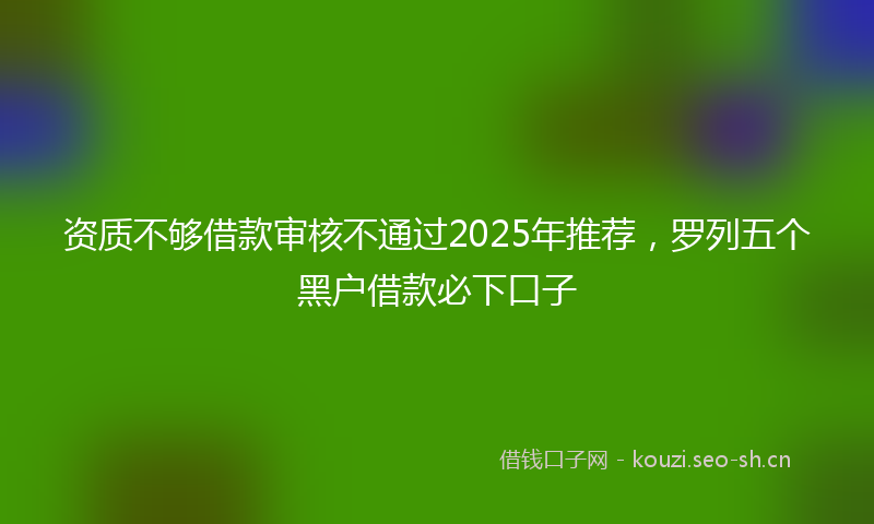资质不够借款审核不通过2025年推荐，罗列五个黑户借款必下口子