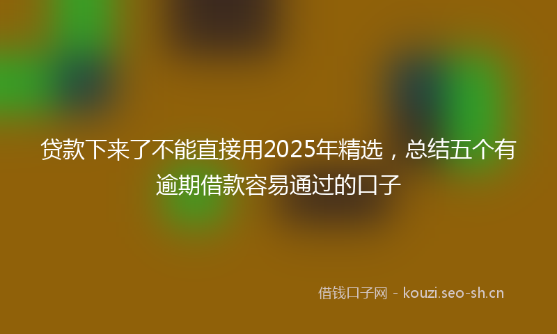 贷款下来了不能直接用2025年精选，总结五个有逾期借款容易通过的口子