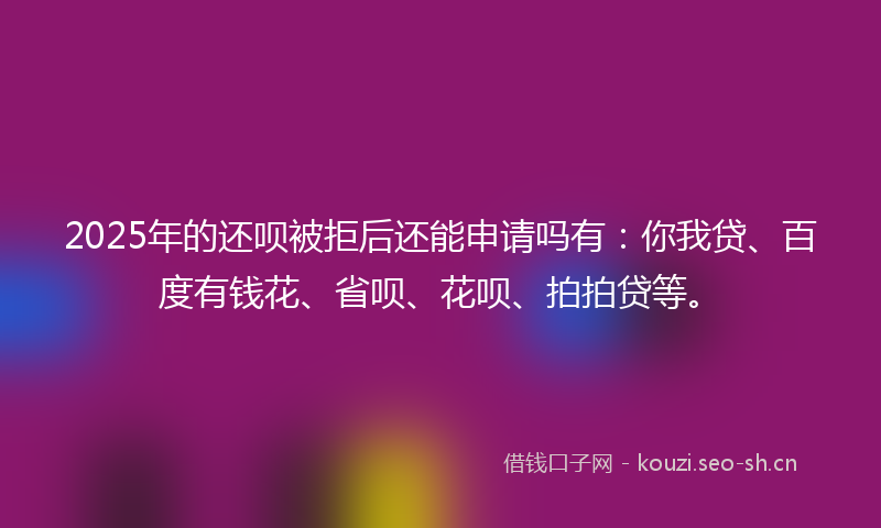 2025年的还呗被拒后还能申请吗有：你我贷、百度有钱花、省呗、花呗、拍拍贷等。