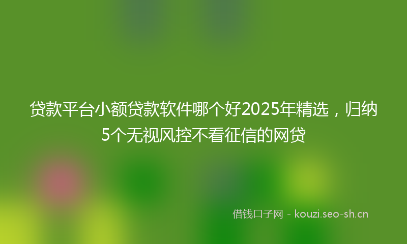 贷款平台小额贷款软件哪个好2025年精选，归纳5个无视风控不看征信的网贷