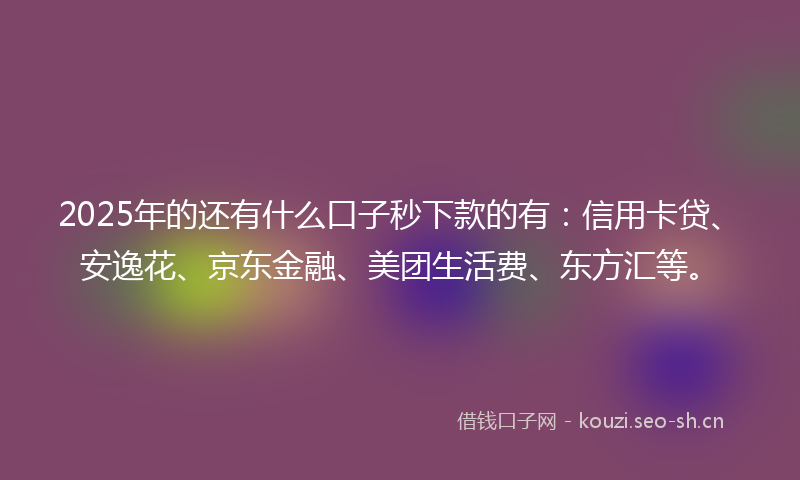 2025年的还有什么口子秒下款的有：信用卡贷、安逸花、京东金融、美团生活费、东方汇等。