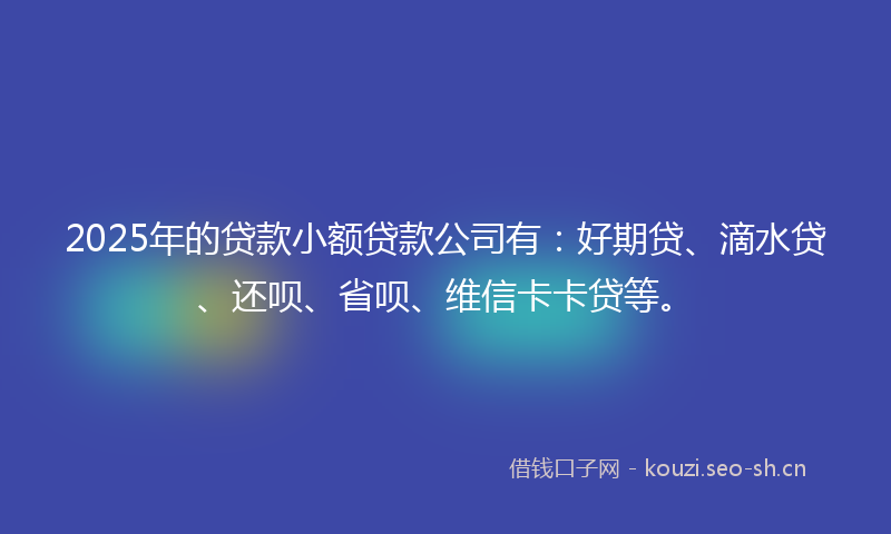 2025年的贷款小额贷款公司有：好期贷、滴水贷、还呗、省呗、维信卡卡贷等。