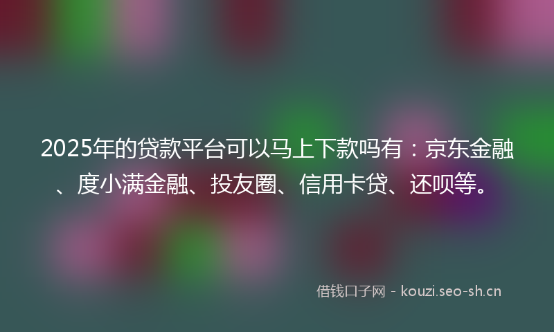 2025年的贷款平台可以马上下款吗有：京东金融、度小满金融、投友圈、信用卡贷、还呗等。