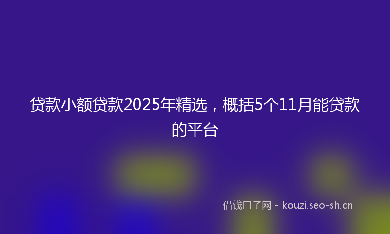 贷款小额贷款2025年精选，概括5个11月能贷款的平台