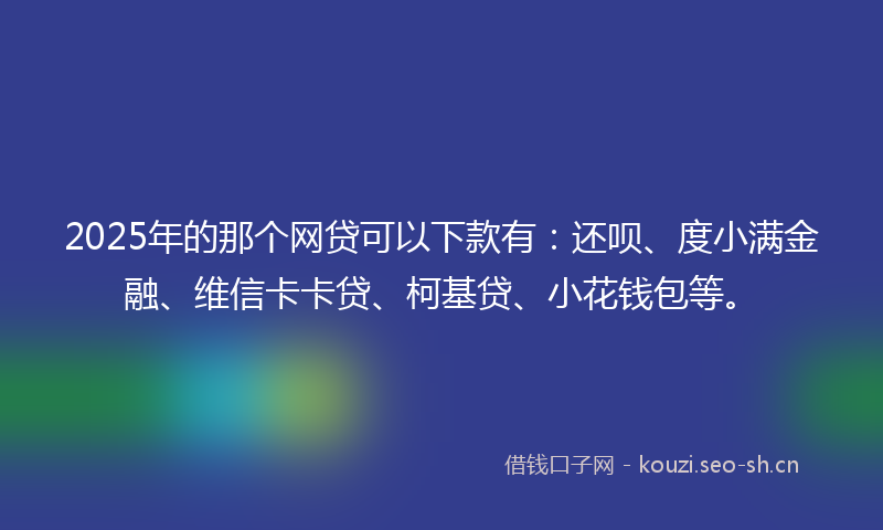 2025年的那个网贷可以下款有：还呗、度小满金融、维信卡卡贷、柯基贷、小花钱包等。