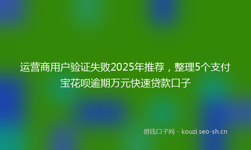 运营商用户验证失败2025年推荐，整理5个支付宝花呗逾期万元快速贷款口子