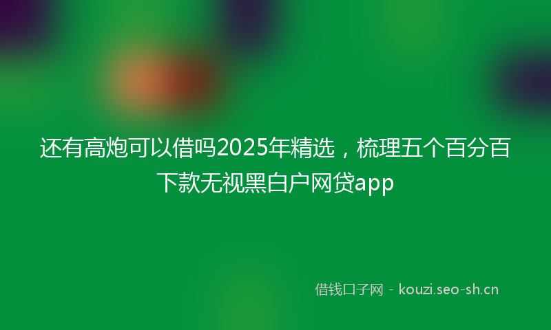 还有高炮可以借吗2025年精选,梳理五个百分百下款无视黑白户网贷app