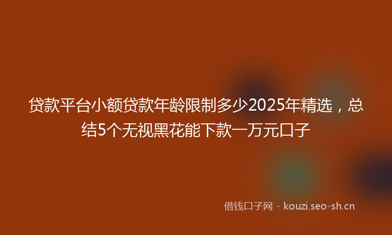 贷款平台小额贷款年龄限制多少2025年精选，总结5个无视黑花能下款一万元口子
