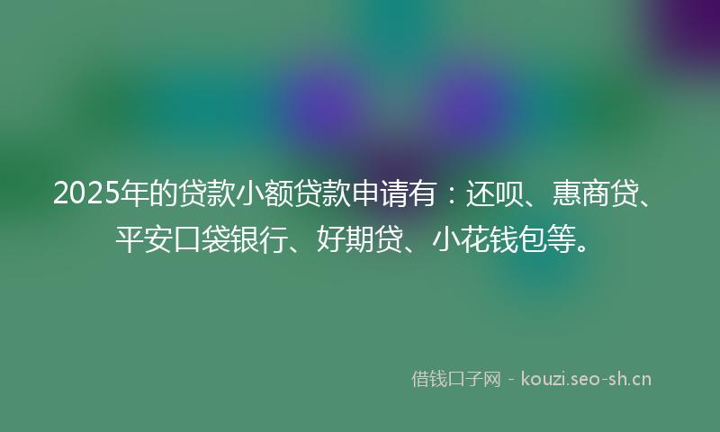 2025年的贷款小额贷款申请有：还呗、惠商贷、平安口袋银行、好期贷、小花钱包等。