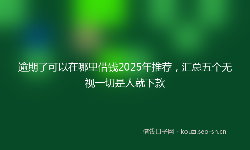 逾期了可以在哪里借钱2025年推荐,汇总五个无视一切是人就下款