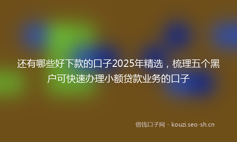 还有哪些好下款的口子2025年精选,梳理五个黑户可快速办理小额贷款业务的口子
