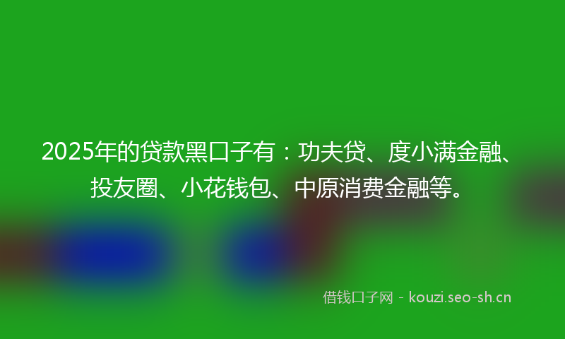 2025年的贷款黑口子有:功夫贷、度小满金融、投友圈、小花钱包、中原消费金融等。