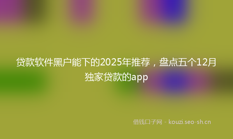 贷款软件黑户能下的2025年推荐，盘点五个12月独家贷款的app