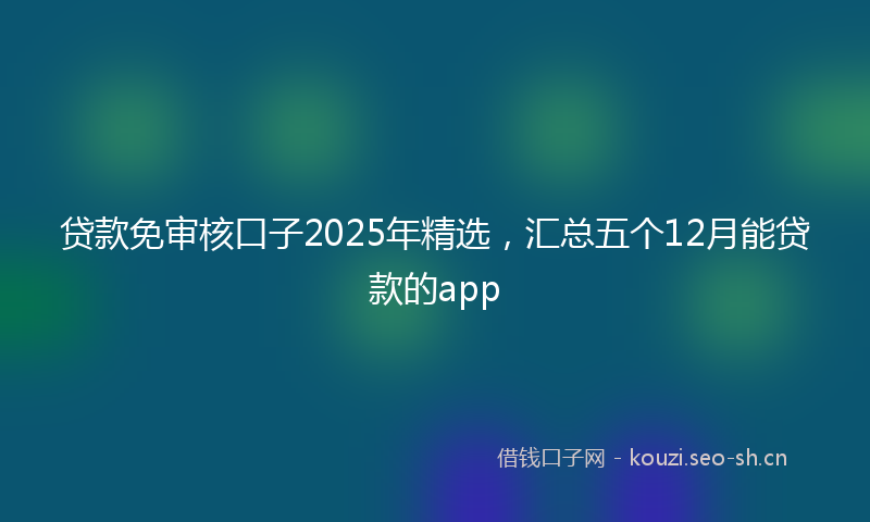 贷款免审核口子2025年精选，汇总五个12月能贷款的app