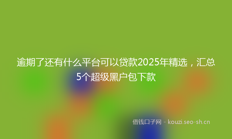 逾期了还有什么平台可以贷款2025年精选，汇总5个超级黑户包下款