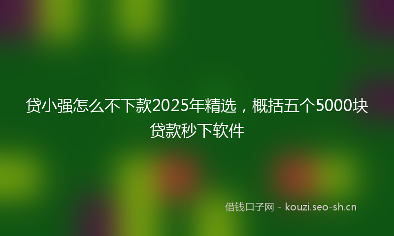 贷小强怎么不下款2025年精选，概括五个5000块贷款秒下软件