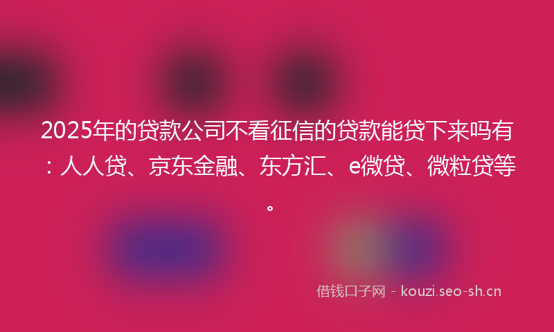 2025年的贷款公司不看征信的贷款能贷下来吗有：人人贷、京东金融、东方汇、e微贷、微粒贷等。