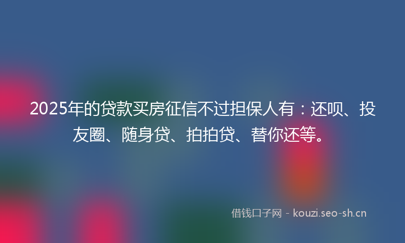 2025年的贷款买房征信不过担保人有：还呗、投友圈、随身贷、拍拍贷、替你还等。
