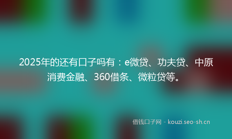 2025年的还有口子吗有：e微贷、功夫贷、中原消费金融、360借条、微粒贷等。