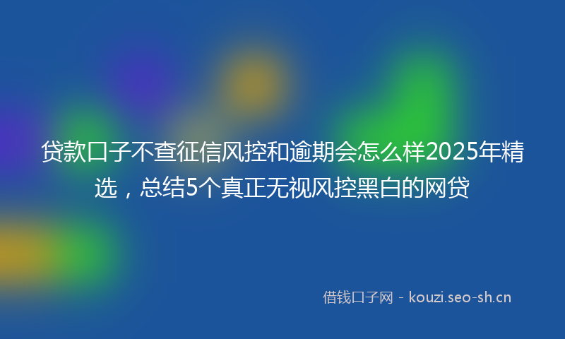 贷款口子不查征信风控和逾期会怎么样2025年精选，总结5个真正无视风控黑白的网贷