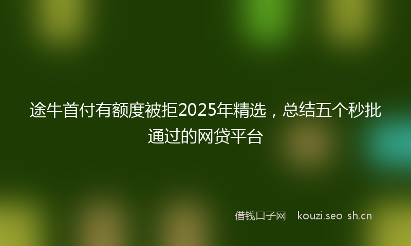 途牛首付有额度被拒2025年精选，总结五个秒批通过的网贷平台