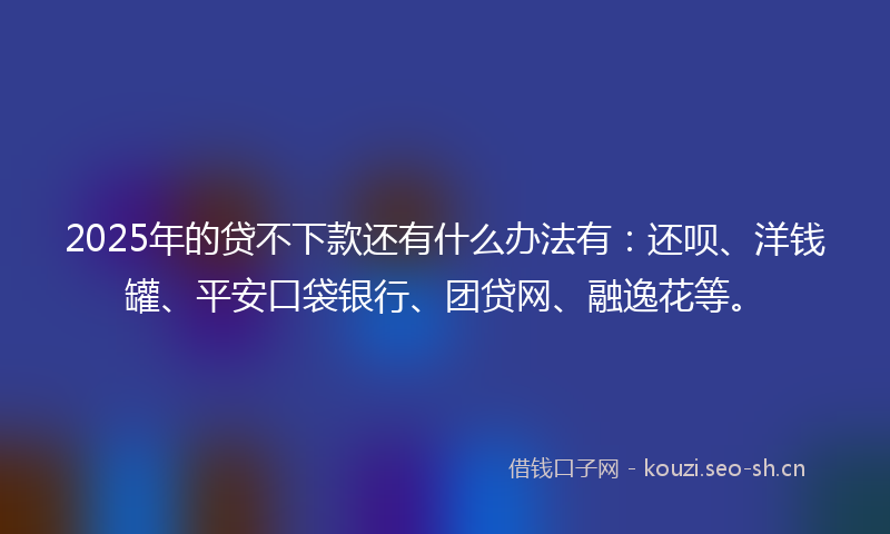 2025年的贷不下款还有什么办法有：还呗、洋钱罐、平安口袋银行、团贷网、融逸花等。