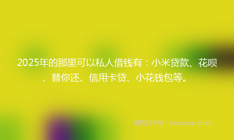 2025年的那里可以私人借钱有：小米贷款、花呗、替你还、信用卡贷、小花钱包等。