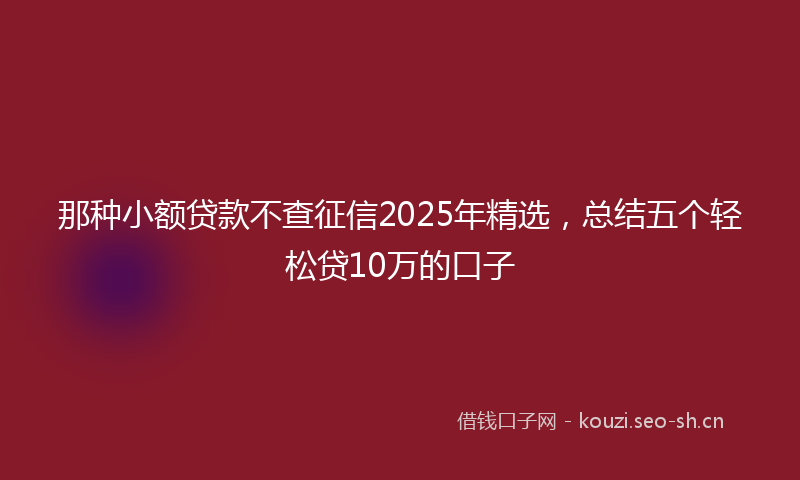 那种小额贷款不查征信2025年精选，总结五个轻松贷10万的口子