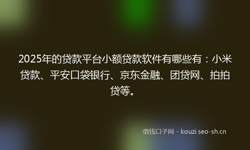 2025年的贷款平台小额贷款软件有哪些有：小米贷款、平安口袋银行、京东金融、团贷网、拍拍贷等。