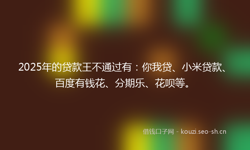 2025年的贷款王不通过有：你我贷、小米贷款、百度有钱花、分期乐、花呗等。