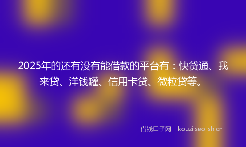 2025年的还有没有能借款的平台有：快贷通、我来贷、洋钱罐、信用卡贷、微粒贷等。