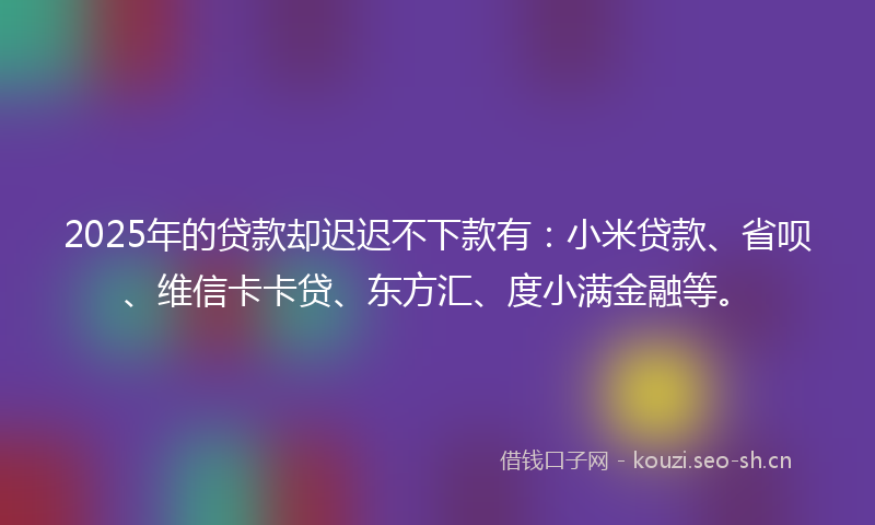 2025年的贷款却迟迟不下款有：小米贷款、省呗、维信卡卡贷、东方汇、度小满金融等。