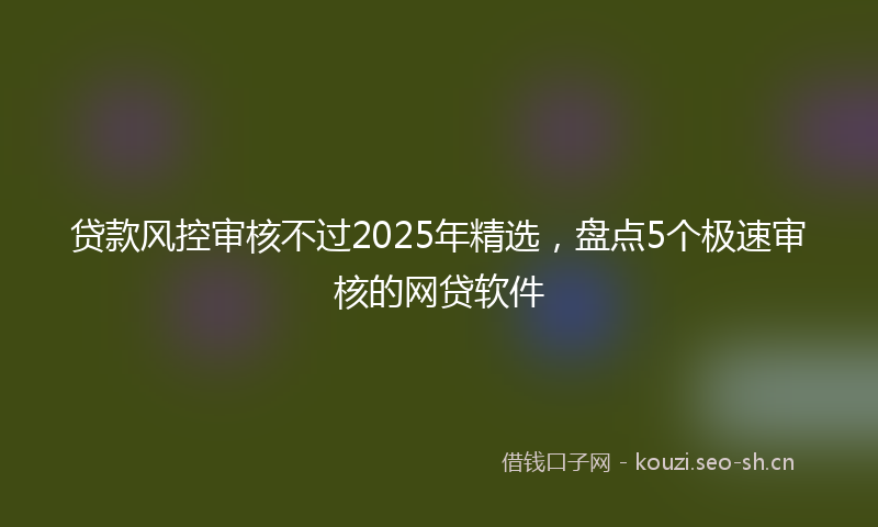 贷款风控审核不过2025年精选,盘点5个极速审核的网贷软件