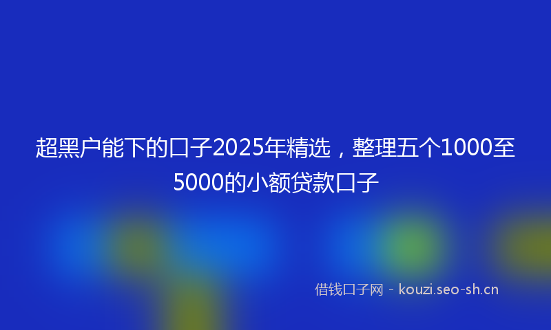 超黑户能下的口子2025年精选，整理五个1000至5000的小额贷款口子