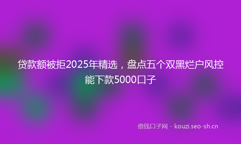 贷款额被拒2025年精选，盘点五个双黑烂户风控能下款5000口子