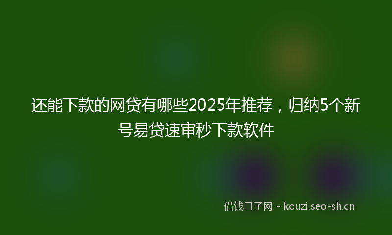 还能下款的网贷有哪些2025年推荐，归纳5个新号易贷速审秒下款软件