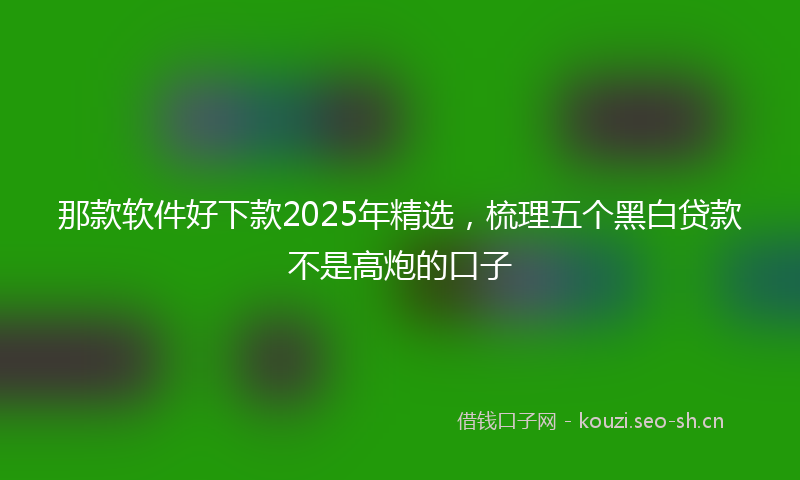 那款软件好下款2025年精选，梳理五个黑白贷款不是高炮的口子
