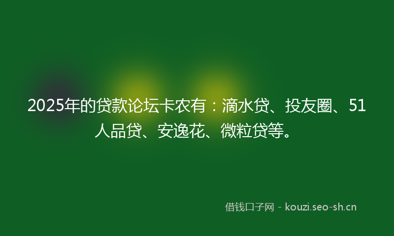 2025年的贷款论坛卡农有：滴水贷、投友圈、51人品贷、安逸花、微粒贷等。
