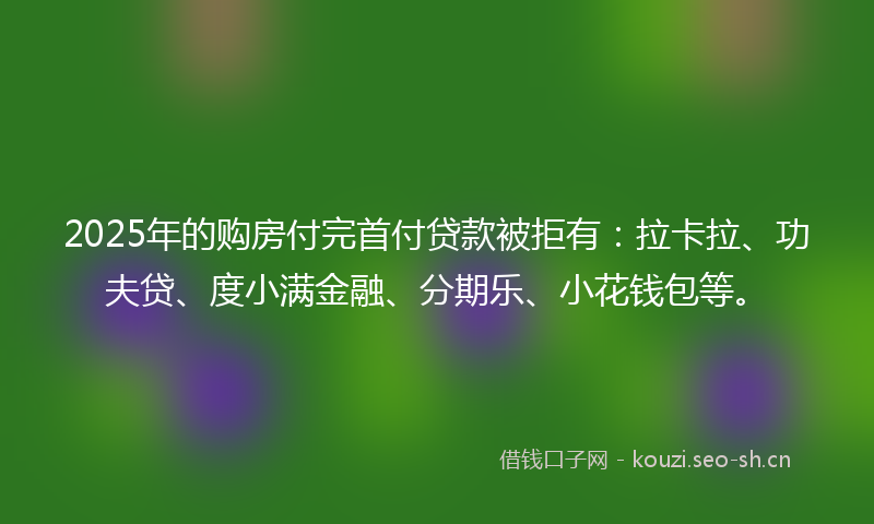 2025年的购房付完首付贷款被拒有：拉卡拉、功夫贷、度小满金融、分期乐、小花钱包等。