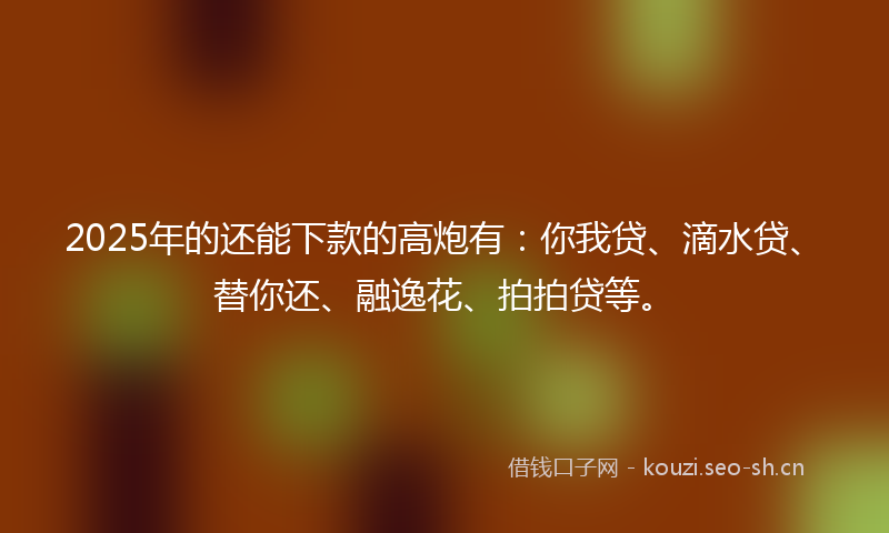 2025年的还能下款的高炮有：你我贷、滴水贷、替你还、融逸花、拍拍贷等。