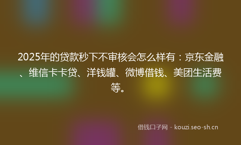 2025年的贷款秒下不审核会怎么样有：京东金融、维信卡卡贷、洋钱罐、微博借钱、美团生活费等。