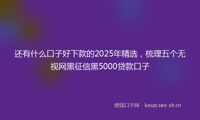 还有什么口子好下款的2025年精选，梳理五个无视网黑征信黑5000贷款口子