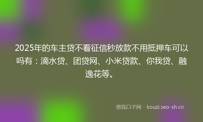 2025年的车主贷不看征信秒放款不用抵押车可以吗有:滴水贷、团贷网、小米贷款、你我贷、融逸花等。