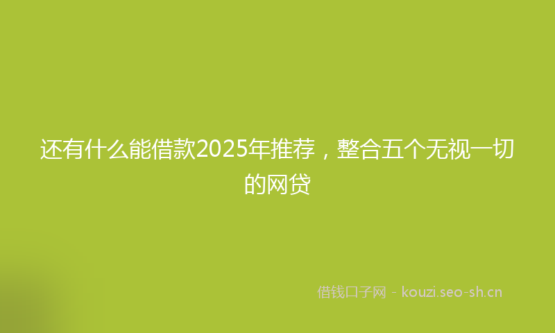 还有什么能借款2025年推荐，整合五个无视一切的网贷