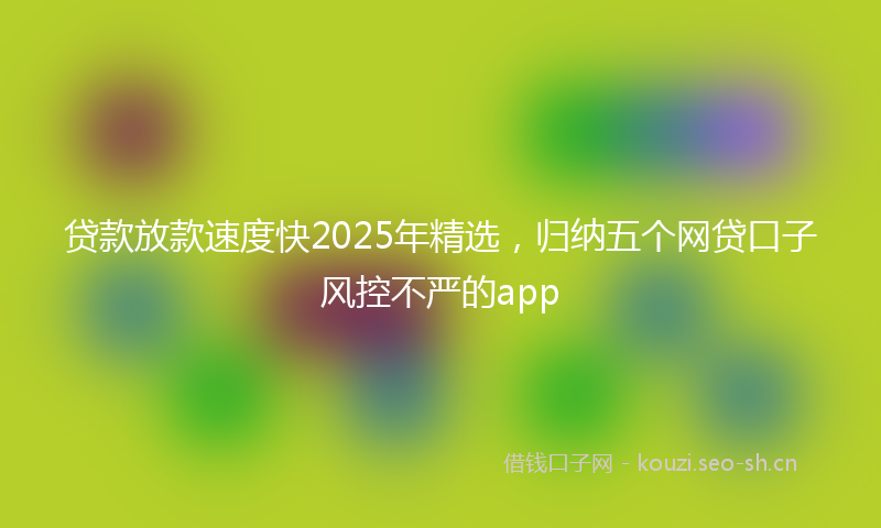 贷款放款速度快2025年精选，归纳五个网贷口子风控不严的app